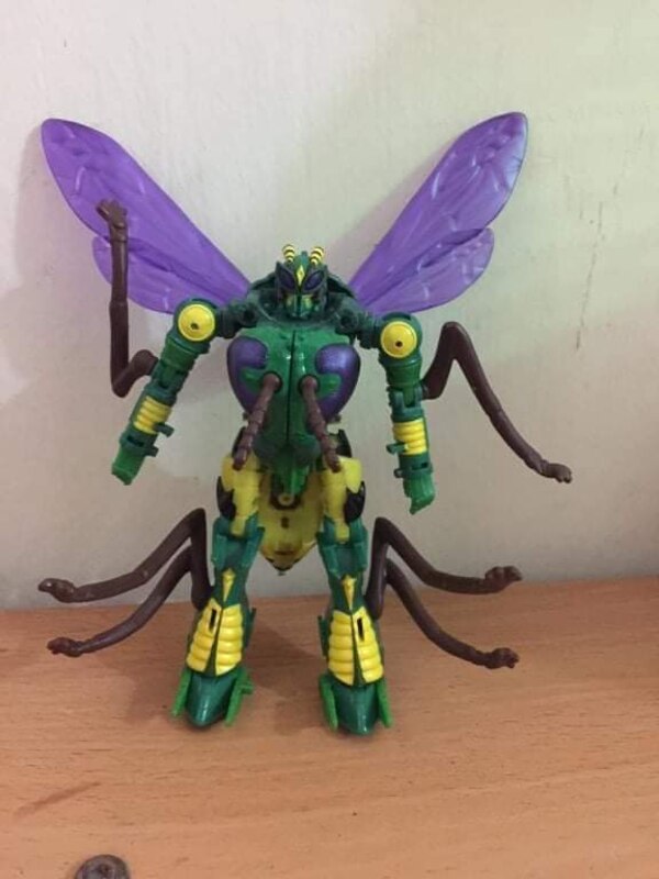Transformers Kingdom Deluxe Class Waspinator  (1 of 38)